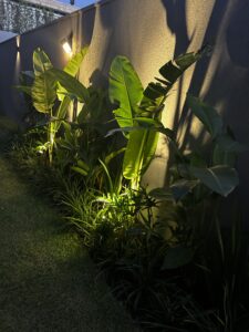 IMG_6510