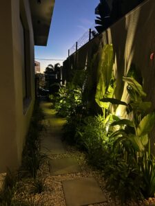 IMG_6518
