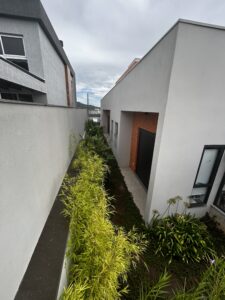 IMG_5013